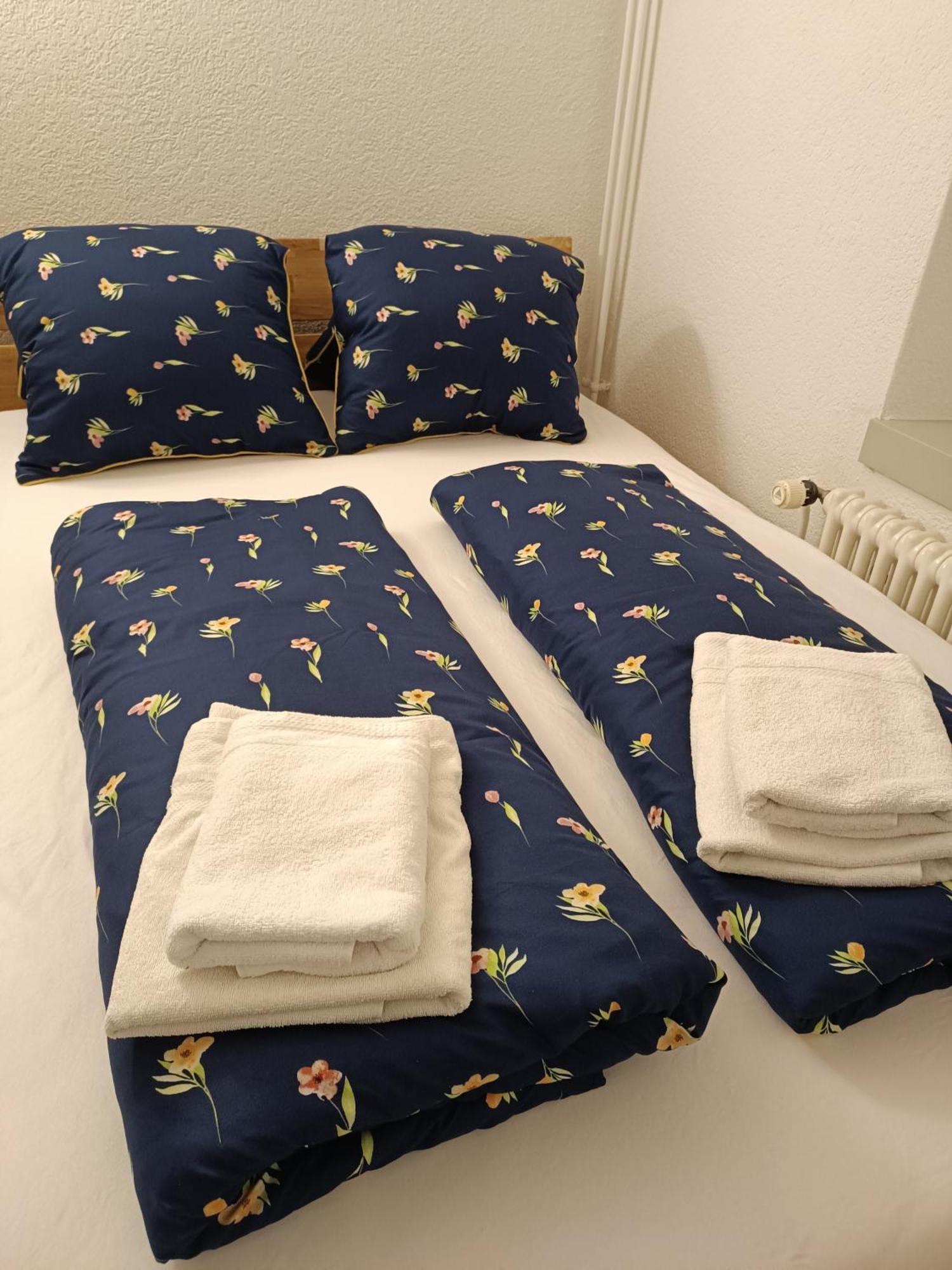 Apartment Jolie 因特拉肯 外观 照片